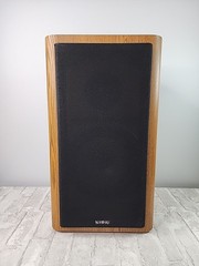 VTG Infinity RS 3000 Bookshelf Speaker (1 Speaker) High Fidelity Polycell Read*