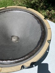 JENSEN P15N 15″ Fullrange Speaker for Fender