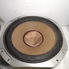 DIATONE PW-3212BM woofer pair removed from DS-503 Junk