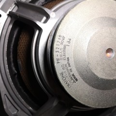 DIATONE PW-3212BM woofer pair removed from DS-503 Junk