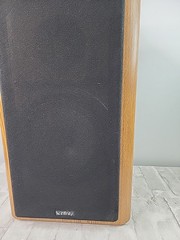 VTG Infinity RS 3000 Bookshelf Speaker (1 Speaker) High Fidelity Polycell Read*