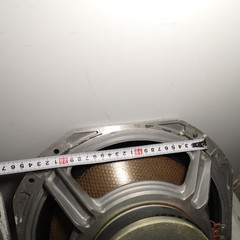 DIATONE PW-3212BM woofer pair removed from DS-503 Junk