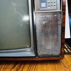 Vintage 1989 Zenith 19” Space Command TV Wood grain Works SF1911W2 – Works