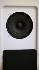 Revived Legend WE-755A, TI-755A speaker