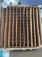 6N6P (ECC99 E182CC ) Soviet Double Triode Tubes, New, $450 for box of 100 tubes