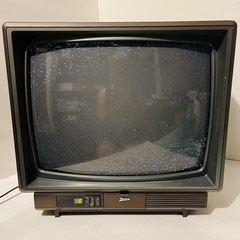 Zenith 19″ Wood Grain CRT Color TV Space Command Vintage Tested Working E1914H