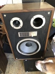 Vintage Zenith Allegro MC3000 Floor Speakers Tested Working
