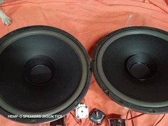 15″ CO-AXIAL TIME ALIGNED COENCENTRIC 2/3 WAY WITH CROSSOVERS AND L-PADS FOSTEX