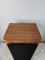 VTG Infinity RS 3000 Bookshelf Speaker (1 Speaker) High Fidelity Polycell Read*