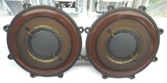 DIATONE DM-6018BM Midrange Speaker Unit Pair for DS-1000ZX