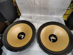 DBX 15″ woofers, possible out of Soundfield V series, MPW 15890618-1F, one pair