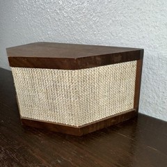 Vintage Microstatic Micro Acoustics MS-1 External Tweeter Array Single Unit