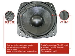 Genesis 401, 2 +, 3 +, 2+, 3+, 10″ Foam Speaker Repair Kit FSK-1028 (PAIR)