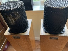 Ohm Micro Walsh Tall Speakers