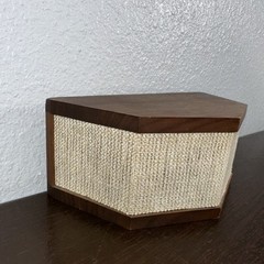 Vintage Microstatic Micro Acoustics MS-1 External Tweeter Array Single Unit