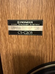 Pioneer CS-G203 Vintage 3-Way Floorstanding Stereo Speakers – Pair – Tested