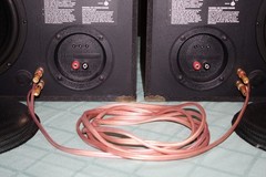 Polk Audio SDA CRS+ Speakers Completely restored and modified Truly excellent